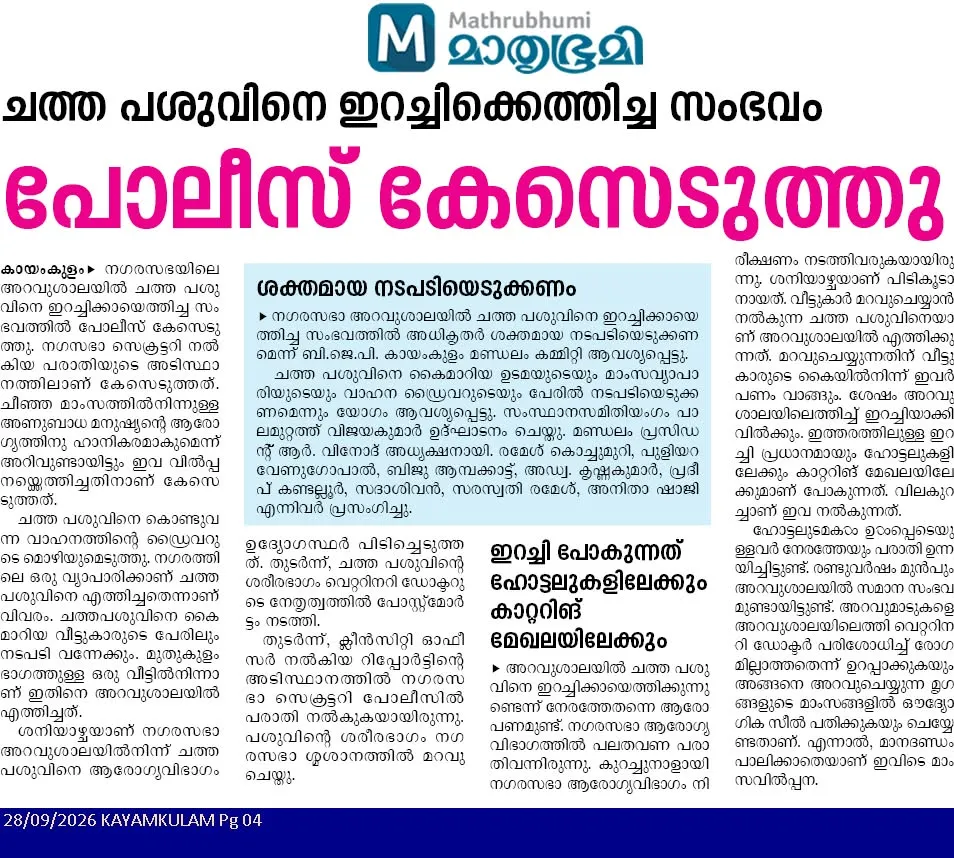 News report on the incident of bringing a dead cow for meat